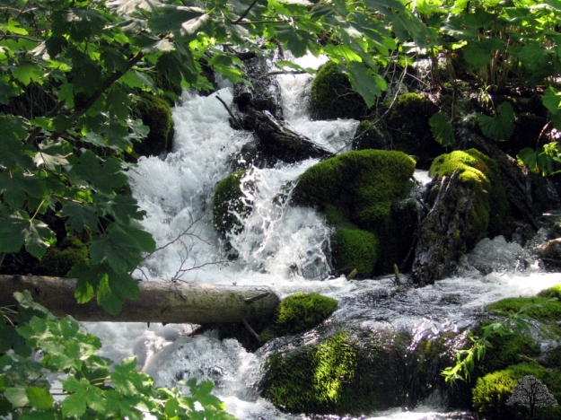 Chutes d'eau dans le parc de Plitvice